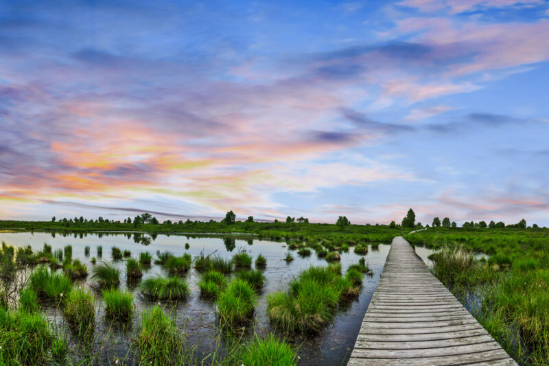 Holzsteg durch ein grünes Moorgebiet mit Wasserflächen und Gräsern, während der Himmel in warmen Farben des Sonnenuntergangs leuchtet.
