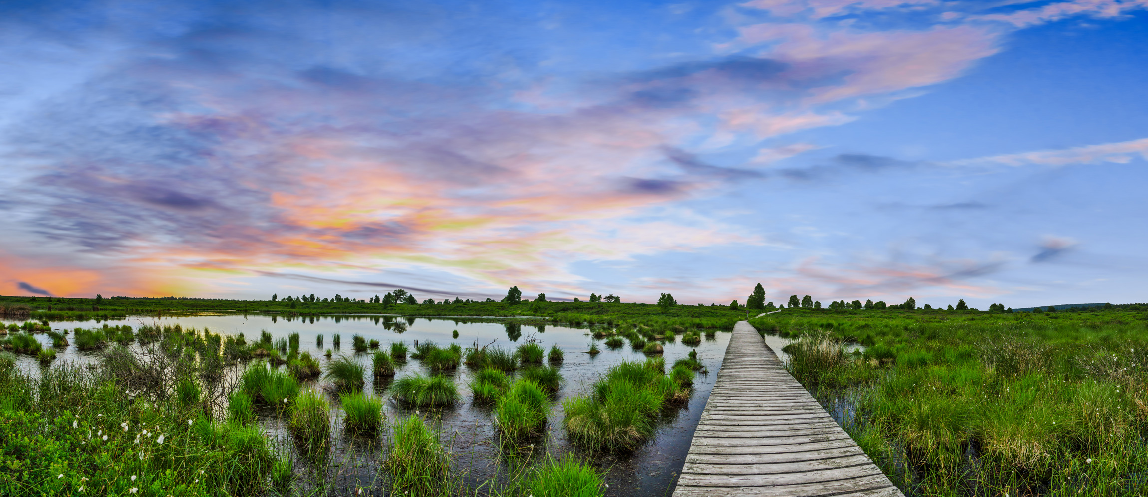 Holzsteg durch ein grünes Moorgebiet mit Wasserflächen und Gräsern, während der Himmel in warmen Farben des Sonnenuntergangs leuchtet.