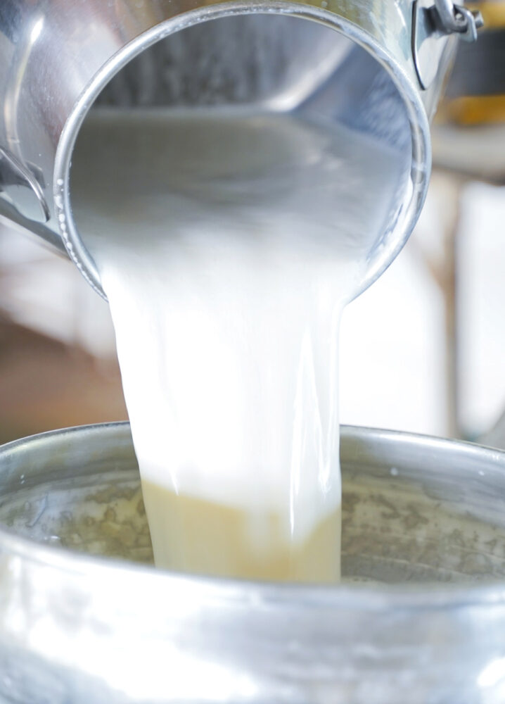 Nahaufnahme von Milch, die aus einem Edelstahlbehälter in einen großen Metalltopf gegossen wird, vermutlich in einem landwirtschaftlichen oder Molkerei-Umfeld.