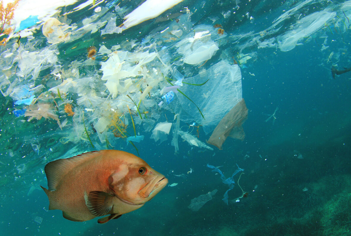 Fisch schwimmt in einem Meer voller Plastikmüll und Abfall.